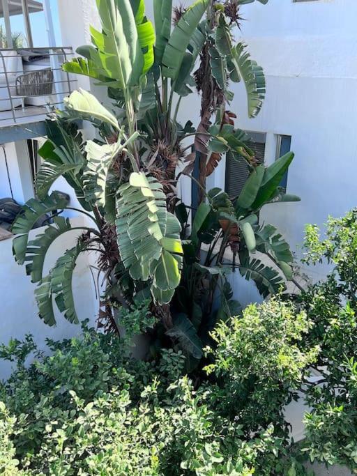 Magnifique A Avec Vue Sur Et Piscine, Jacuzzi, Chauffes, Chauffe Payant Appartement *